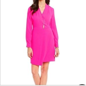 Cremieux hot pink dress